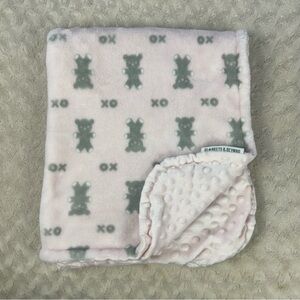 Blankets & Beyond Pink Gray Teddy Bear XO OX Baby Blanket Minky Dot Lovey